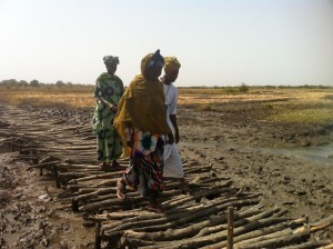 Ghana Smaalholder farmers. Credit Saloum Janko/ IPS