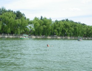 Man swimming in Beijing\'s Houhai lake 
